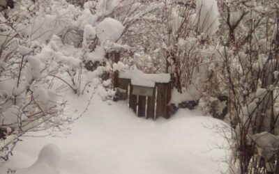 From That Time It Snowed A Lot