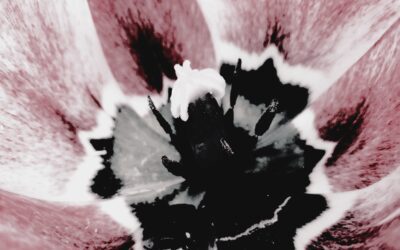 Grief is a circle