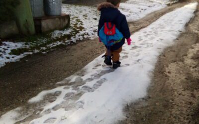 Does The Law Matter to You?