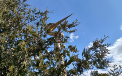 The Autonomous Sinixt Are Not Extinct