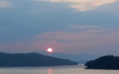 Moments like this just need…..