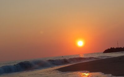 Time Flies in the Tropics