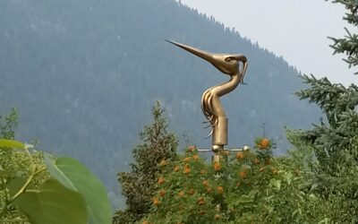 WASPy Nelsonia Only Cares About the Safety of Rich Settlers