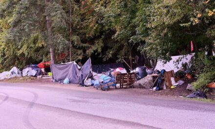 Why Are So Many People “Terrified” in Supposedly Chill Nelsonia?