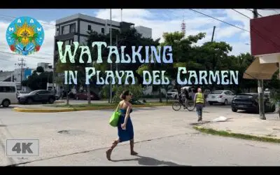 MAAW is rocking the Yucatan, starting in Quintana Roo!