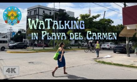 MAAW is rocking the Yucatan, starting in Quintana Roo!